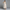 Elegantes Damen Waist Dress mit Bustier-Design – Lorena