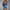Luftiges Sommerkleid für Damen in Floral-Design – Amelie