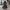 Damen Winterjacke Lang, Warm und Stylisch für Kalte Tage – Emilia