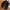 Winterjacke für Herren mit sportlichem Look – Neron