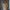 Eleganter Damen Wintermantel mit klassischem Schnitt – Veloura