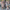 Florales Maxi Kleid für Alltag & Events – Selina