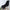 Kaschmirschal mit Quasten – weich & vielseitig – Amelie