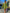 Damen-oversized Shirt mit lockerem Schnitt für Alltag – Mira