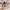 High-Top Canvas-Sneaker mit Blumenmuster – Amelie