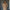 Eleganter Damen Wintermantel mit klassischem Schnitt – Veloura