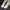 High-Top Canvas-Sneaker in Bonbonfarben – Emilia