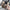 High-Top Canvas-Sneaker mit dicker Sohle – Leonie