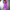 Gestreiftes Hemdblusenkleid für Damen – Sophia