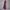 Elegantes Damen Waist Dress mit Bustier-Design – Lorena