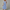 Sommerkleid Damen Baumwolle Gürtel Elegant Luftig Freizeit – Fioralina