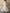 Vintage Maxikleid Damen Weiß V-Ausschnitt Langarm – Alina