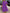 Midi Damenkleid mit V-Ausschnitt elegant – Amara