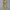Boho Minikleid für Damen mit Volants – Lena