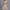 Boho Minikleid für Damen mit Volants – Lena