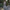 Trendy Damen-Camouflage-Hose mit Komfortpassform – Alina