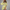 Minikleid Damen Elegant Figurfreundlich Print Sommer – Loravina