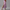 Sommerkleid Damen Bedruckt Elegant Luftig Bequem Sommer – Valerina