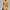Sommerkleid Damen Blumenprint Luftig Elegant Bequem – Florenya