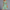 Boho Minikleid für Damen mit Volants – Lena