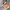 Bequeme Damen Wedge-Sandalen mit offener Zehe – Fiorana