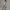 Sommerkleid Damen Bedruckt Elegant Luftig Bequem Sommer – Valerina