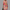 Sommerkleid Damen Blumenprint Luftig Elegant Bequem – Florenya