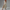 Sommerkleid Damen Bedruckt Elegant Luftig Bequem Sommer – Valerina