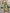 Hose mit hoher Taille und lockerer Passform – Nina