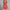 Boho Minikleid für Damen mit Volants – Lena