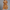 Boho Minikleid für Damen mit Volants – Lena