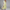 Sommerkleid Damen Bedruckt Elegant Luftig Bequem Sommer – Valerina