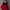 Eleganter Damen Wintermantel mit klassischem Schnitt – Veloura