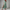 Kleid Damen Bauch-umspielend Elegant Locker Komfort Alltag – Valenya