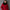 Eleganter Damen Wintermantel mit klassischem Schnitt – Veloura