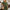 Eleganter Jumpsuit mit weiten Beinen für Damen – Astrid