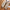 Winterjacke für Herren mit sportlichem Look – Neron