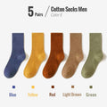 Hochwertige Business-Trachten-Socken aus Baumwolle – Colin