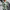 Damen Winterpullover Weich Warm Alltag Elegant – Mila