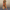 Vielseitiges Kleid Damen modern und bequem – Amira