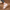 Bequeme Damen Sandalen mit Dämpfung – Florenta