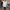Button-Up Bluse Damen Locker Elegant Casual – Lea
