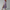 Kleid Damen Bauch-umspielend Elegant Locker Komfort Alltag – Valenya
