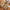 Winterjacke für Herren mit sportlichem Look – Neron