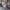 Florales Maxi Kleid für Alltag & Events – Selina