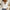 Klassische Damenbluse mit Knopfverschluss Look – Elanira