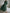 Retro Damenkleid mit Vintage-Kragen – Clemence
