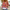 Leichter Damen Pullover Sommer Farbenfroh Locker – Rivoluna