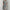 Stilvolle & bequeme Designer-Kleidung aus Amsterdam – Neliva