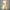 Baumwoll Langkleid Damen Elegant Sommer Look – Mila